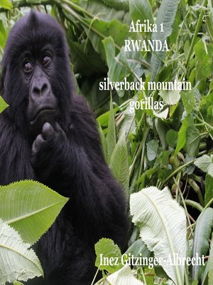 cover image of Afrika 1 Ruanda
